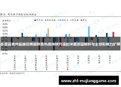 多重因素共振推动英超联赛热度持续升温的深层原因解析与全球影响力扩展