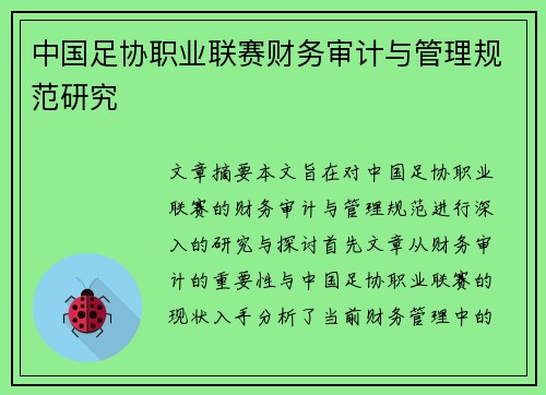 中国足协职业联赛财务审计与管理规范研究